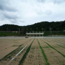 축구장 본부석 네이버블로그