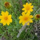 세동산골농원 이미지