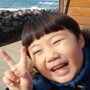 조천초등학교 이미지