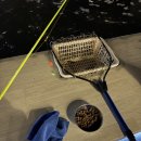 뽑기훈련소 | 평택 낚시훈련소, 3000마리 물고기로 손맛 제대로 느끼는 곳