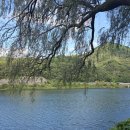 GS25 금강로하스점 | 금강로하스공원 : 대전근교 최고의 공원