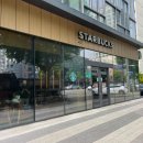 엔티크 독 이미지