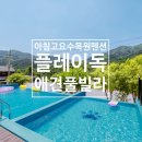 플레이독애견카페 | [아침고요수목원펜션] 가평 플레이독 애견풀빌라 후기