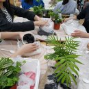 송현여자중학교 이미지