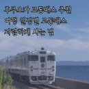 그린공원(마동시영) | 후쿠오카 교통패스 종류 어떤 걸 사야할까? 여행 일정별 추천 및 저렴하게 사는 법