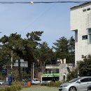 한라수목원 | 제주 한라수목원 근처 | 감성카페 99.9 방문 후기 내돈내산