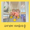 우리끼리키즈카페히어로마을 이미지