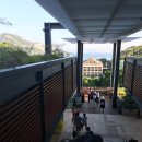 빅시티 | 첫 홍콩 여행이라면 추천하는 빅버스 시티투어 후기 ft. 구매 팁