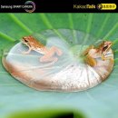 청개구리 이미지