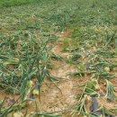 지도센터-3 이미지