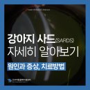 우리동물메디컬센터 이미지