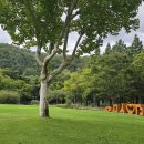 대구수목원 이미지