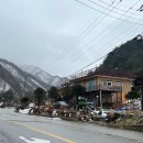 오대산늘벗 이미지