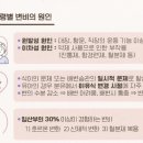 이지로움 이미지