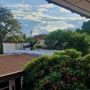 산책온 | 치앙마이 올드타운 맛집 코코넛쉘, 똠얌꿍 재도전 성공하고 타패게이트 산책하고 온 후기