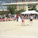 고령초등학교 이미지