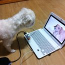 뽀미농장 이미지