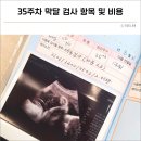 수유스타약국 | 임산부 막달검사 비용 및 35주차 임신후기 치질 연고 후기