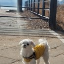 오서방네 농장 | [23.2.4.] 일요일, 방콕여행준비 그리고 <오서방네조개찜>