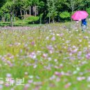 시민복지타운광장 이미지