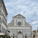 안젤라약국 | 이탈리아 2주 여행 🇮🇹 피렌체 산타마리아노벨라 약국(Farmaceutica di Santa Maria Novella) 본점 후기