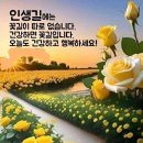 아리랑(我理朗)의 참뜻 이미지