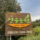 가평 | 유명산맛집, 산골농원 솔직 후기