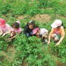 신애유치원 이미지