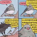 얼땅쟈 이미지