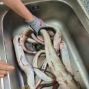 한달하다 민박 이미지