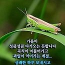 향림어린이공원 이미지