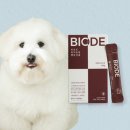 라이트핏 이미지