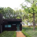 숲속의 행복마을 이미지