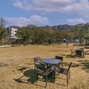 남이섬 봄펜션 이미지