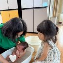 일르마망&조은맘 제주 | 제주 정부지원 산후도우미 신청 및 이용후기