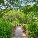 미로공원 화장실 이미지