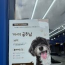 까미헤어갤러리 | 경기광주피어싱 피어싱갤러리 경안점 | 피어싱 교체 후기✨