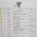 두 손 잡고 랄랄라 | 춘천 롯데마트 문화센터 - 랄랄라 코알라 내돈내산 수강 후기 (3학기 연강 등록 🌟 )