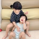 도치트리오