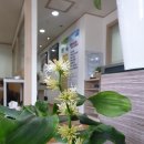 한중부부한의원 이미지