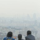 (주)동의보감