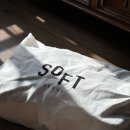 NEXT. SOFT | SOFT SEOUL, 소프트서울 스웨이드 골드볼 백팩 브라운 후기 및 착샷까지!