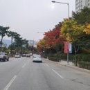 은파피아노교습소 - 종로구 옥인길 11 | 은파피아노교습소