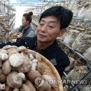 내탐마을 이미지