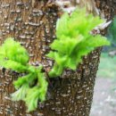 윤성농장 이미지