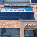 수목토일라이트예산