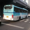 노블항공 이미지