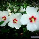 샘터펜션 이미지