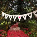 카멜리아힐 이미지