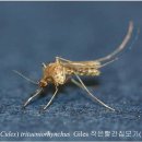 빨간집 - 하동군 악양서로 326 | 빨간집